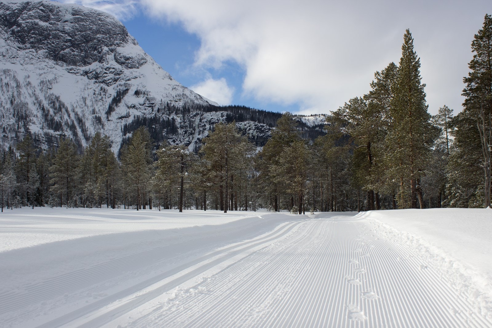 Langrennsløypene passerer rett nedenfor Nyørk og gir deg muligheter for milevis med flott preparerte langrennsspor. Galleribilde