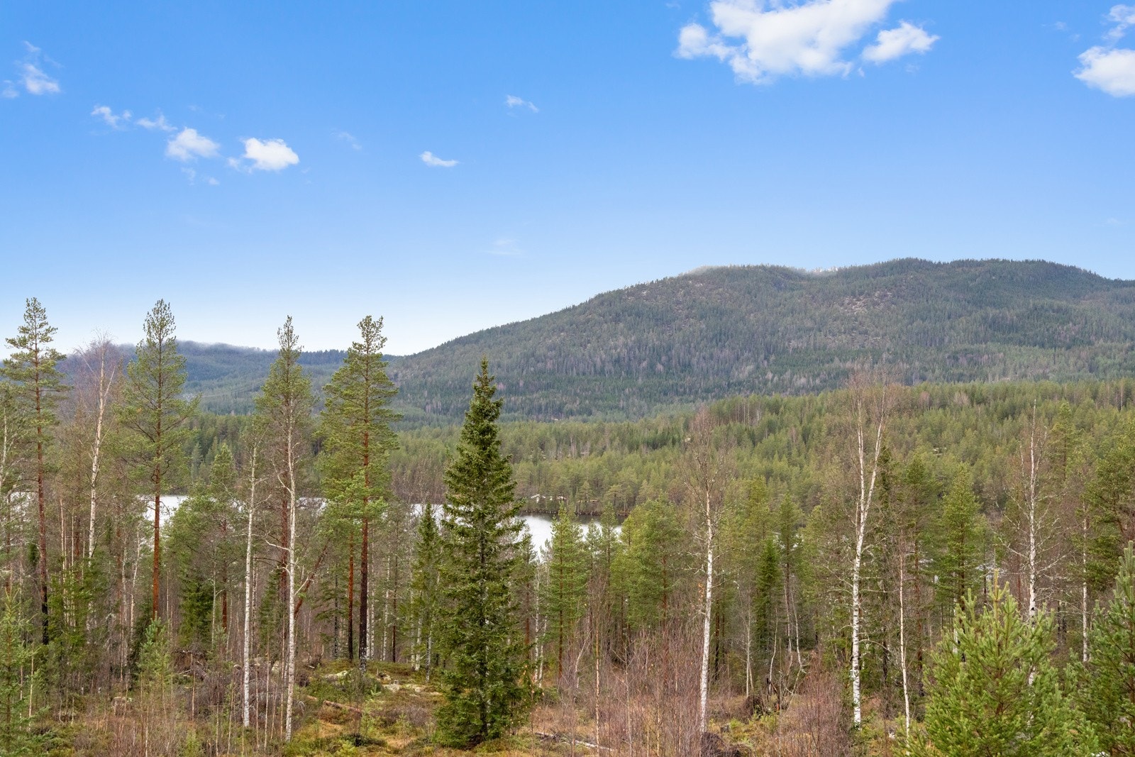 Utsikt mot Langevatn Galleribilde