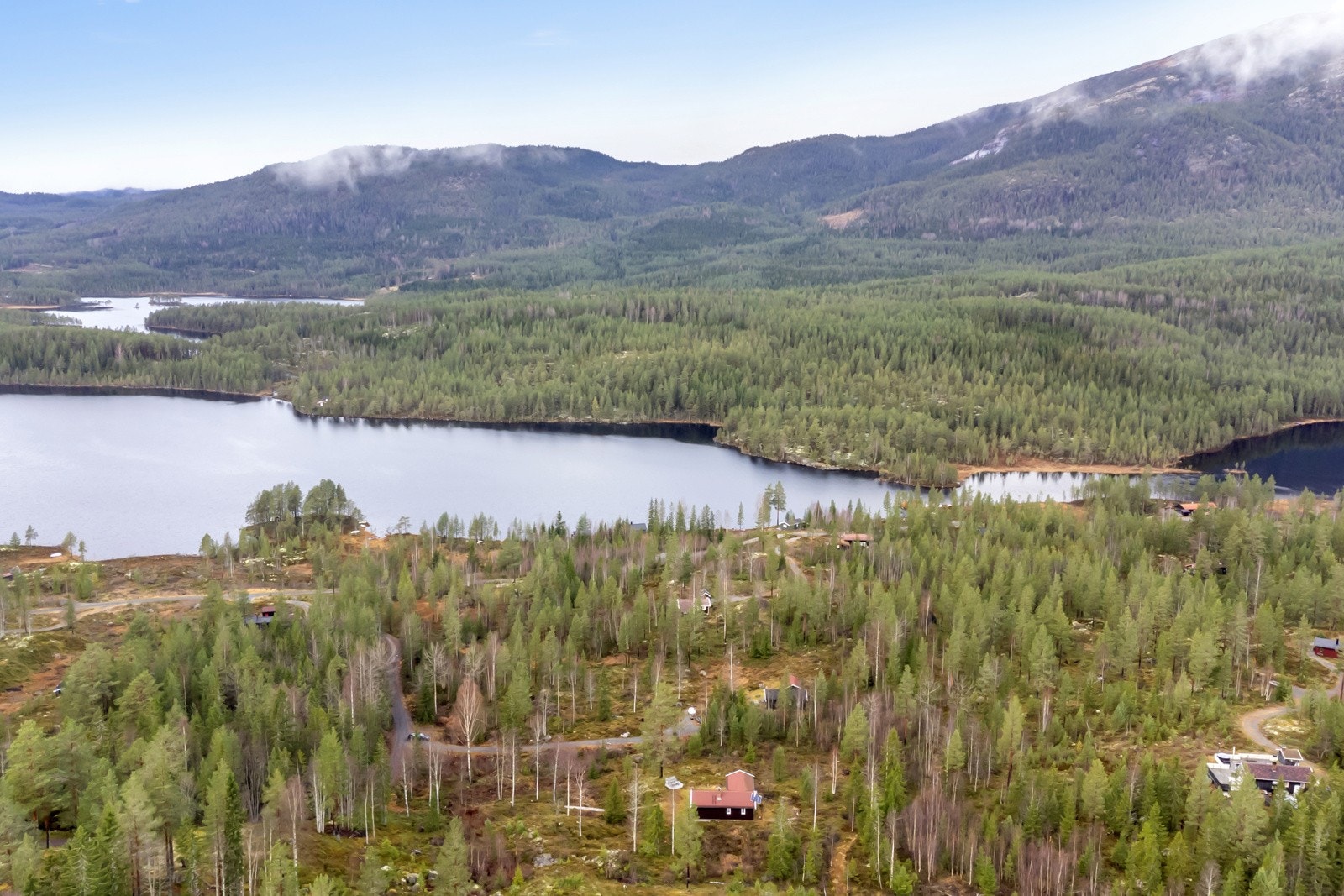 Langevatn Galleribilde