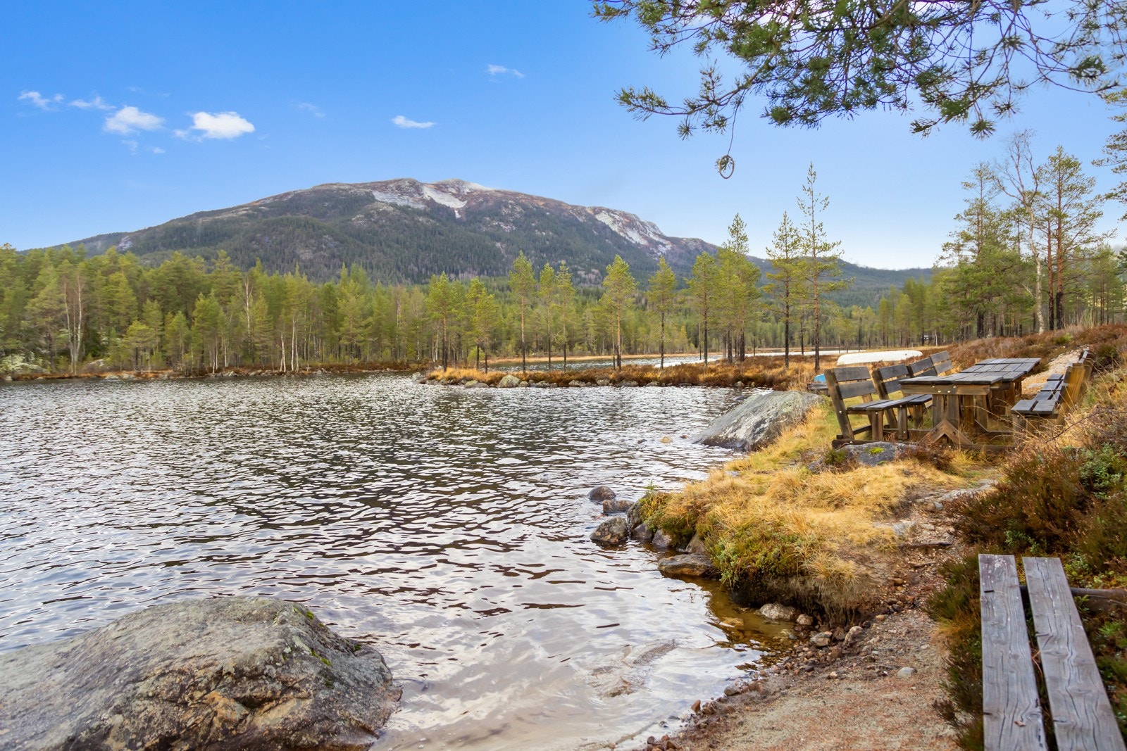 Kort vei til en dukkert. Galleribilde