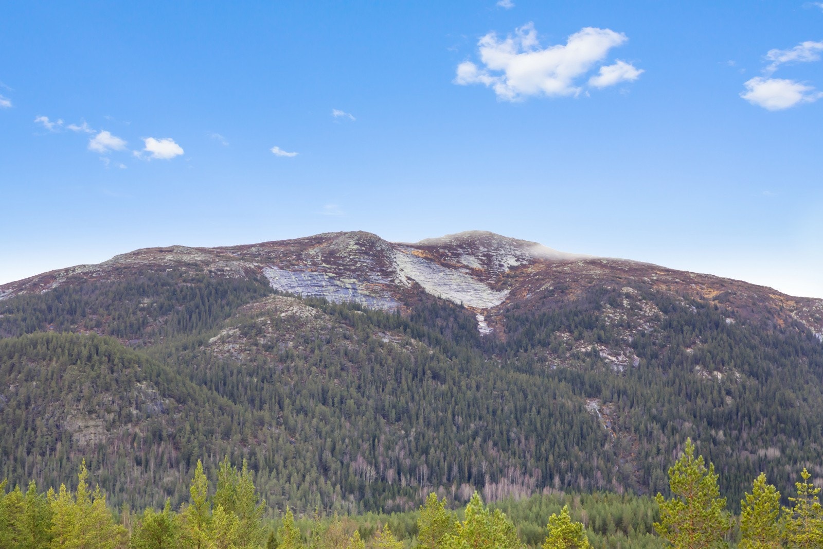 Flott utsikt Galleribilde