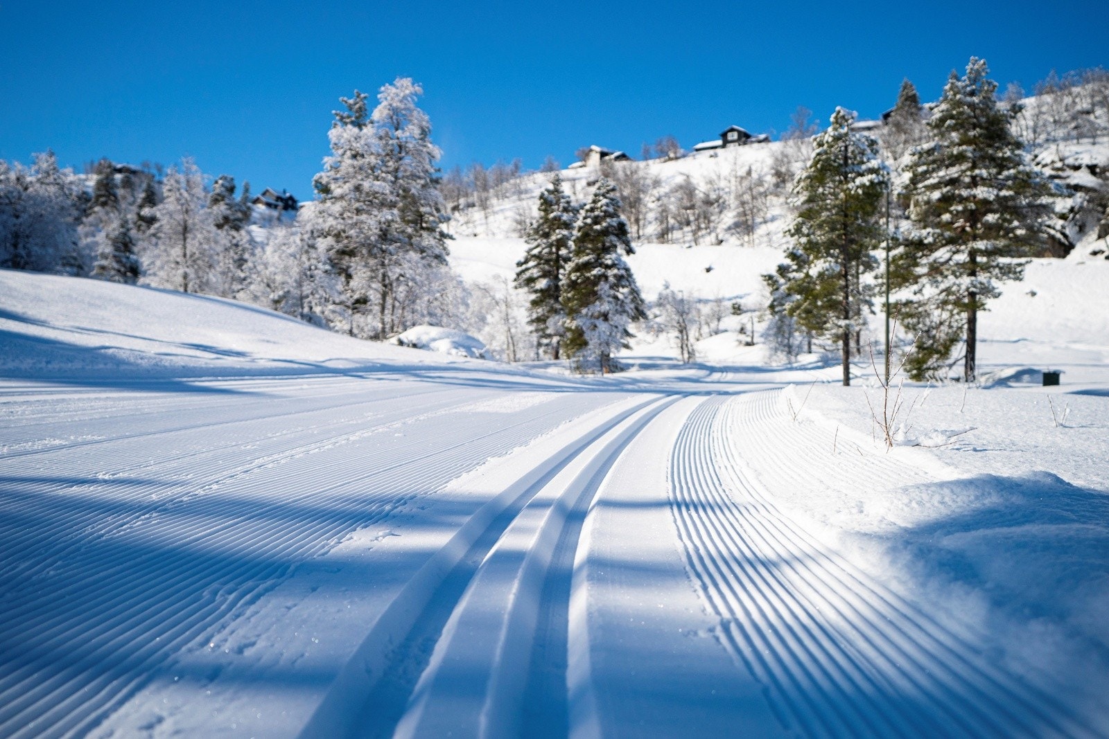 Nydelige skispor Galleribilde