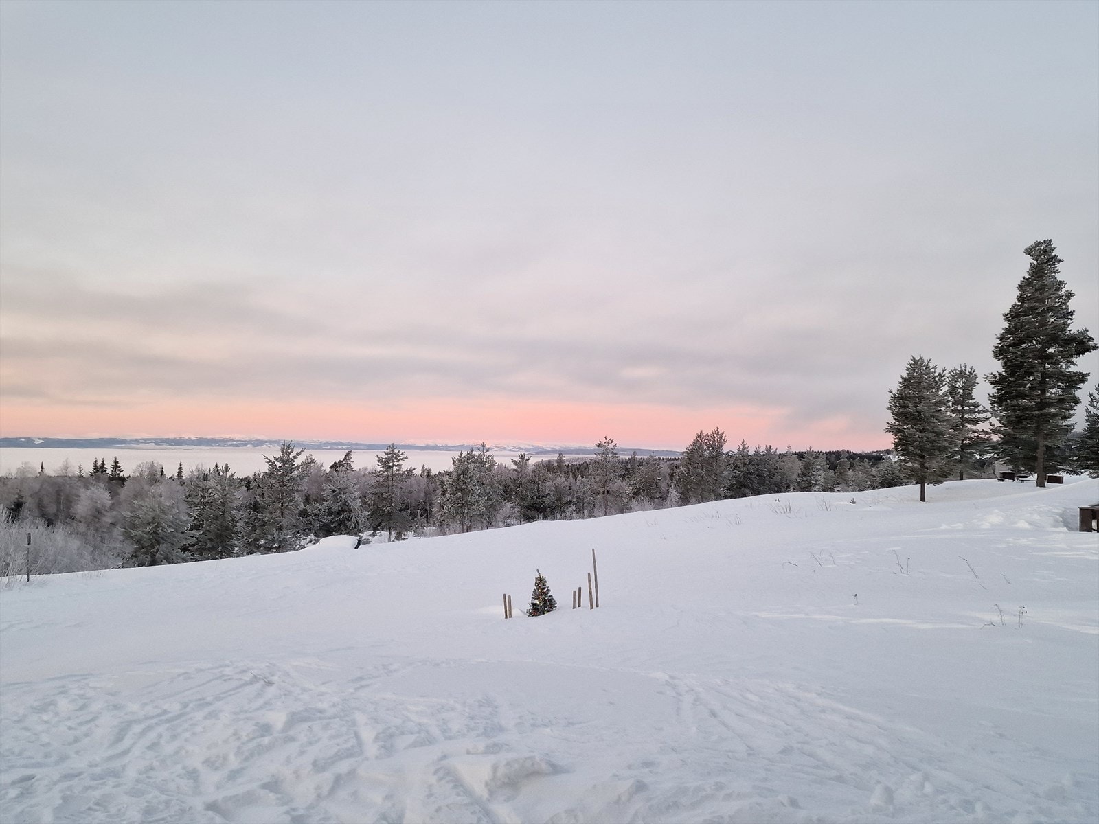 (selgers private bilde) Galleribilde