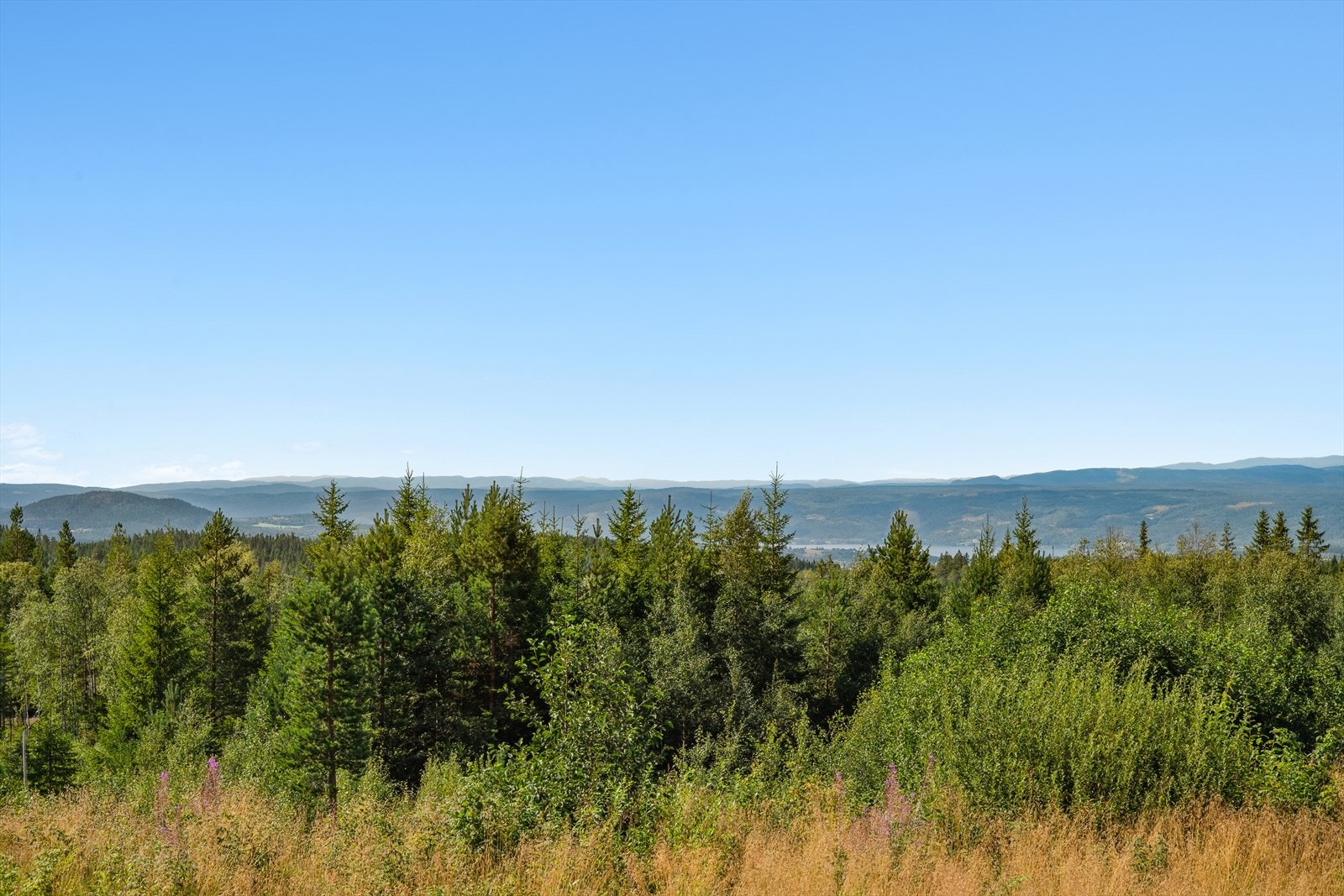 Utsikt fra første rad. Galleribilde