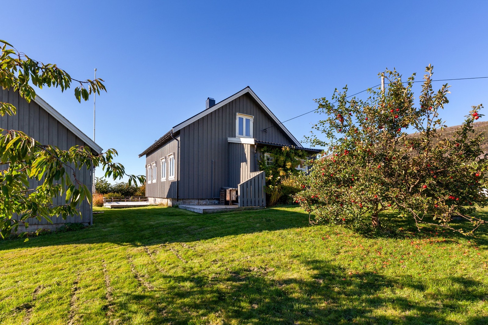 Fasade. Galleribilde