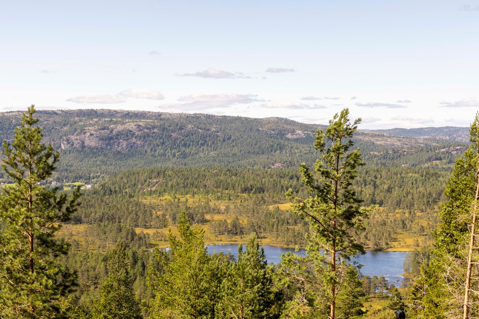 Områdebilde Galleribilde