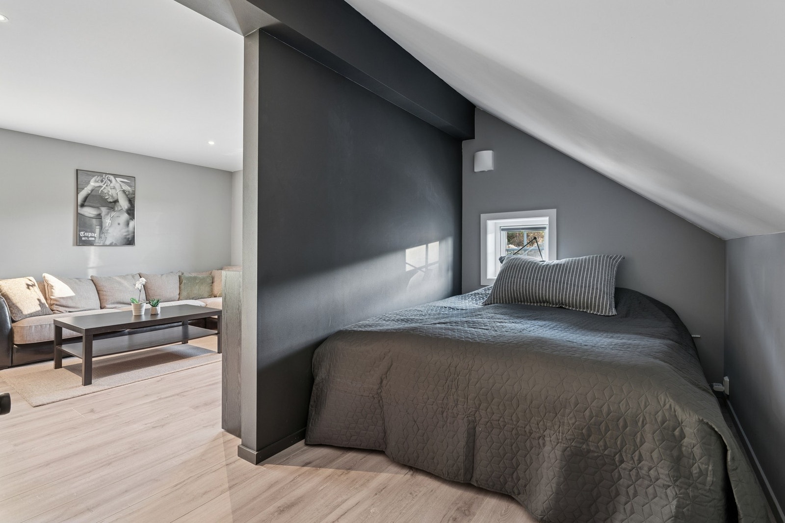 Stue/ soverom/ ungdomsrom Galleribilde