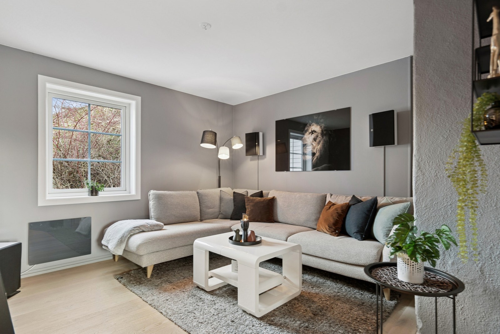 Tv stue Galleribilde