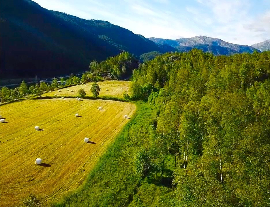 Nærområdet, rolig og landlig. Galleribilde