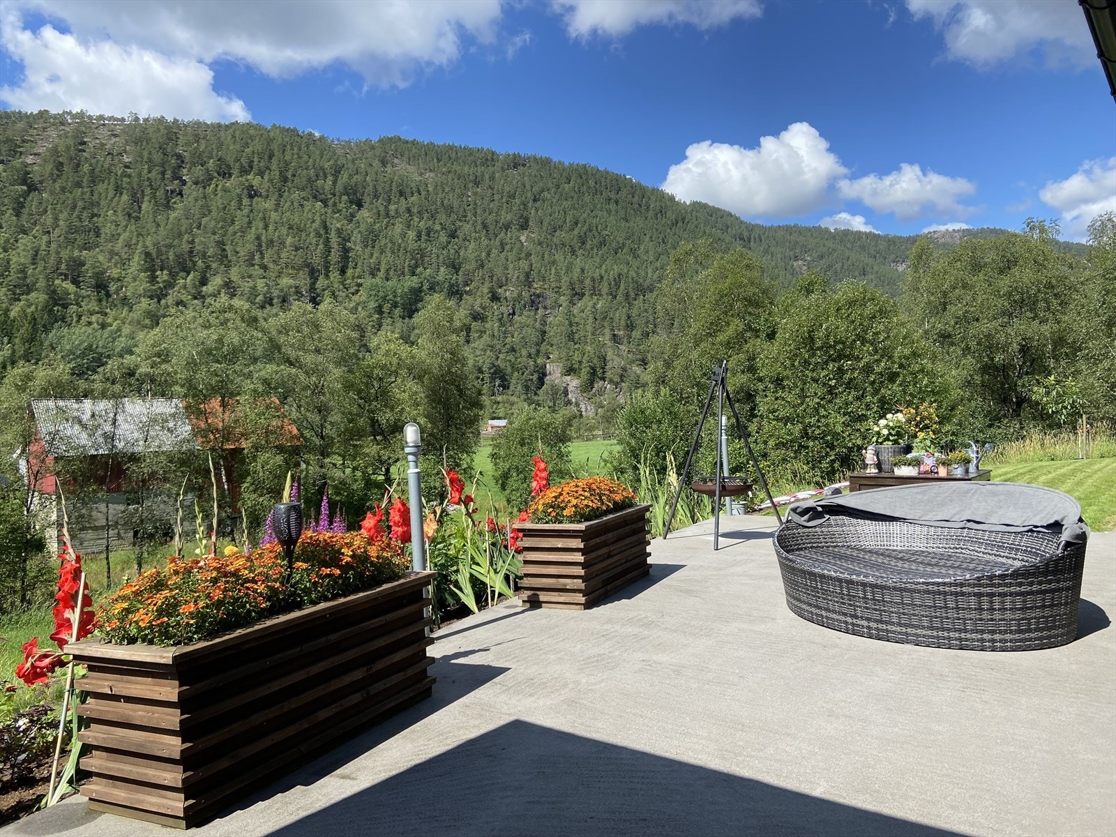 Bilder fra sommeren 2023. Galleribilde