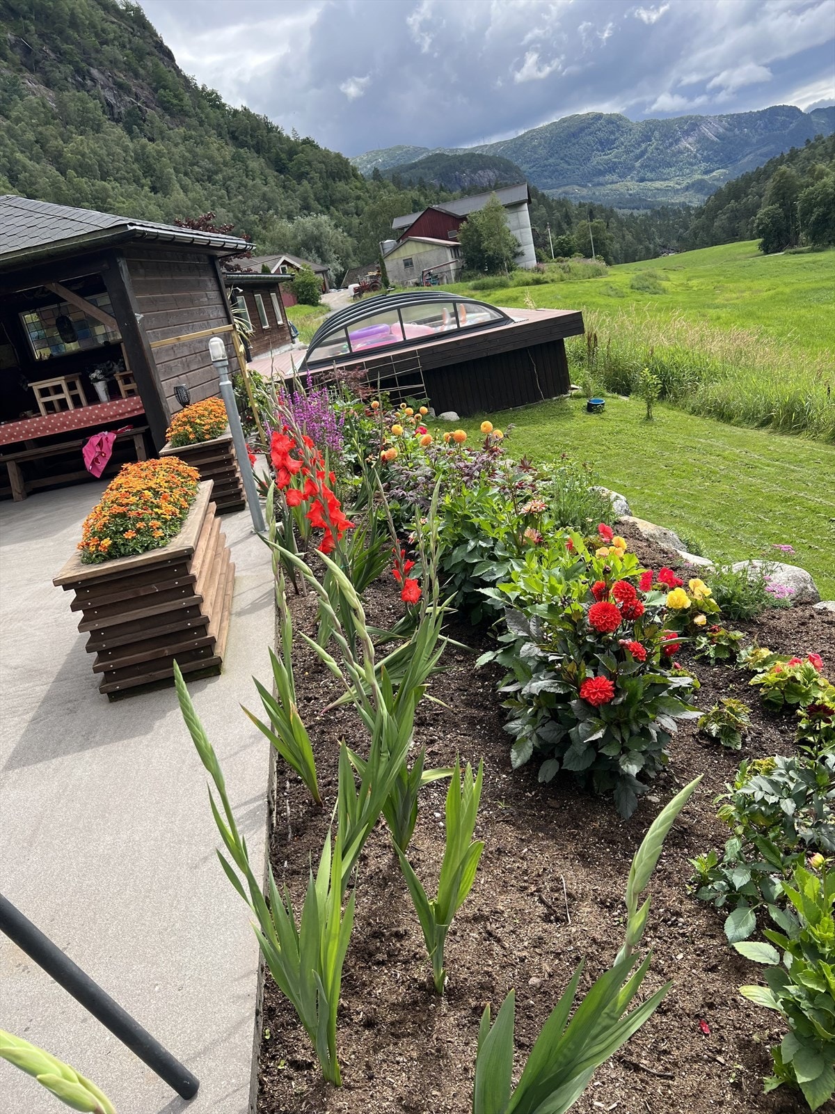 Sommerbilde Galleribilde