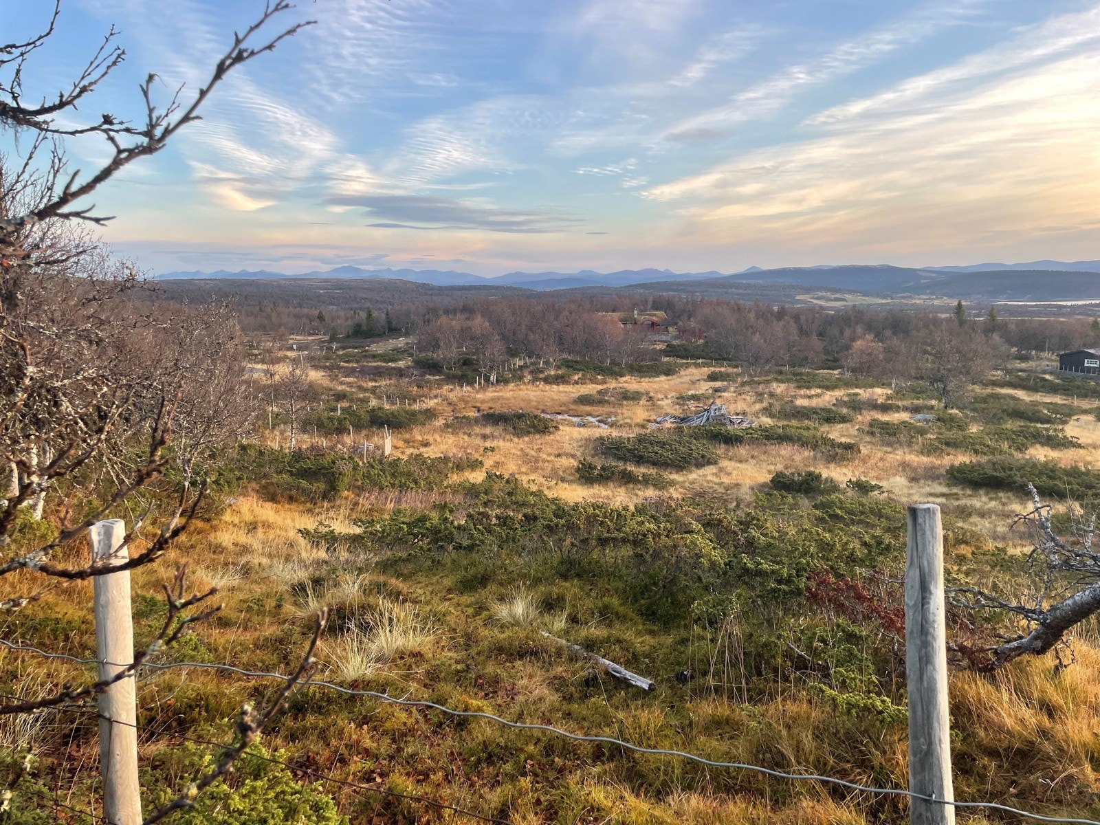 Fantastisk utsikt fra tomten - sommertid Galleribilde