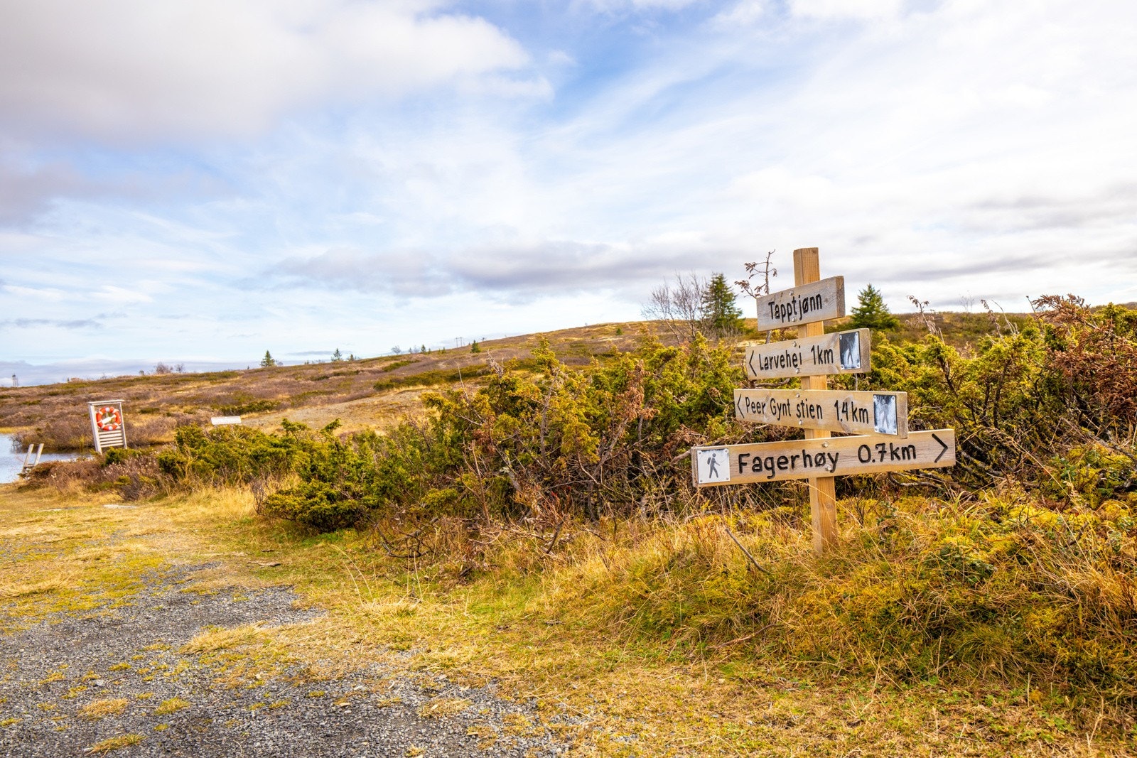Nærområdet sommertid Galleribilde