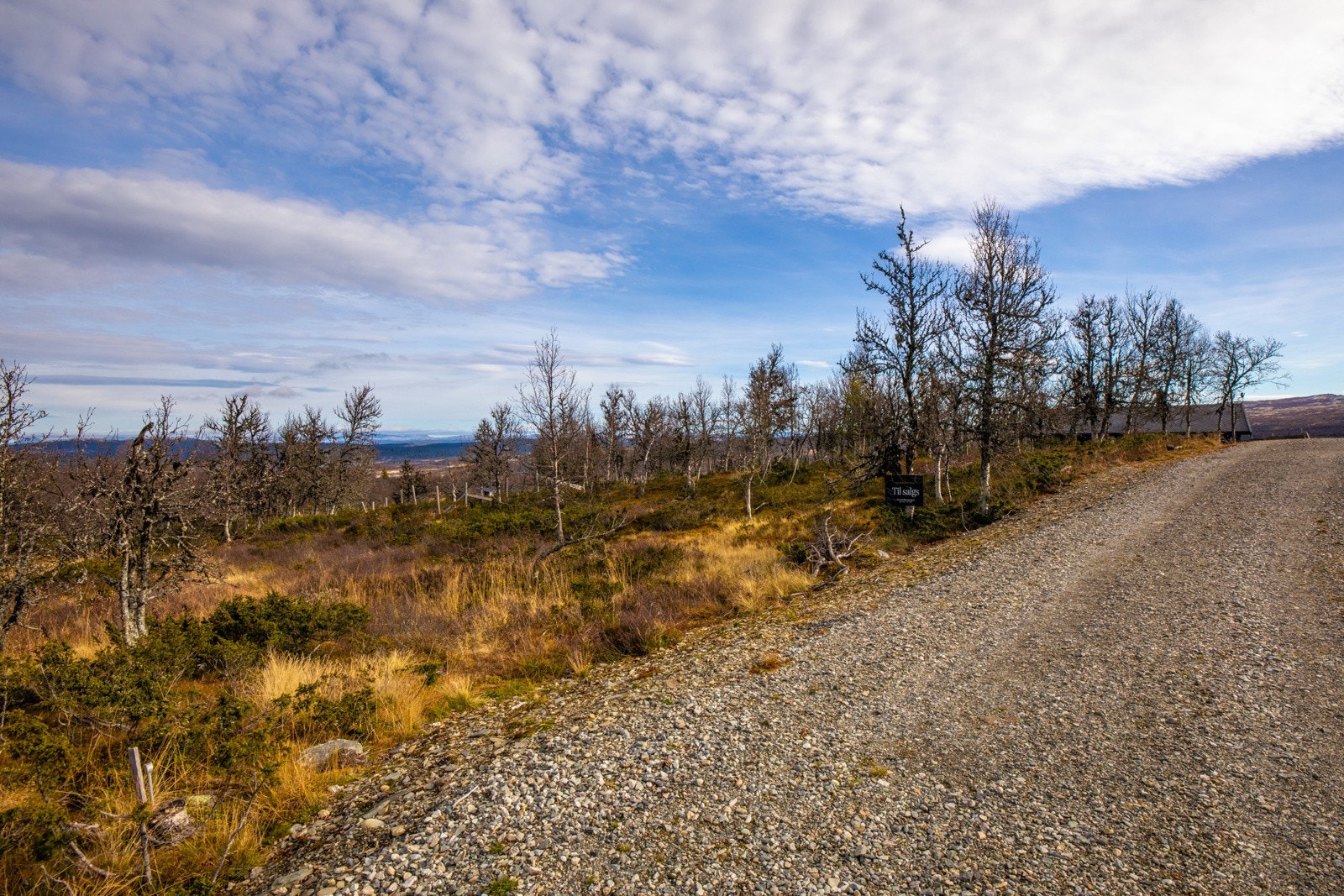 Veien inn ved tomten Galleribilde