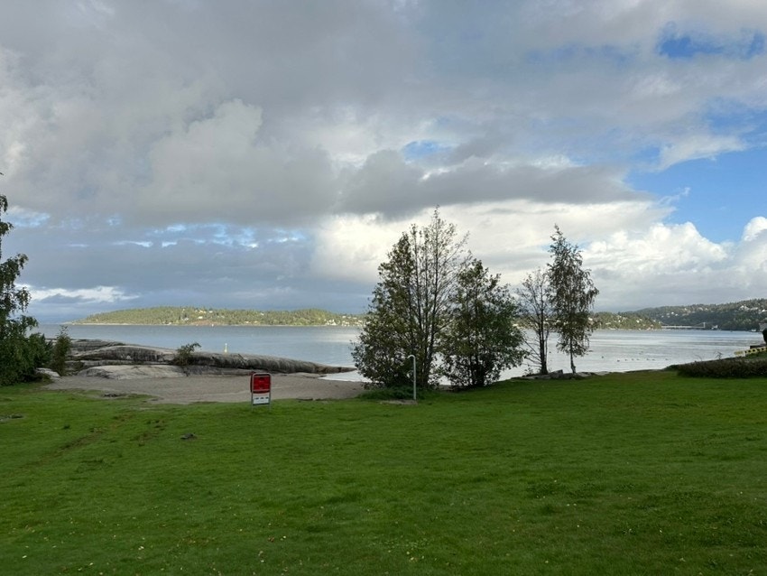 Katten ligger kun en kort spasertur unna. Galleribilde
