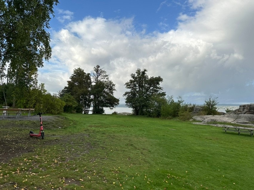 Flotte grøntområder rett ved stranden. Galleribilde