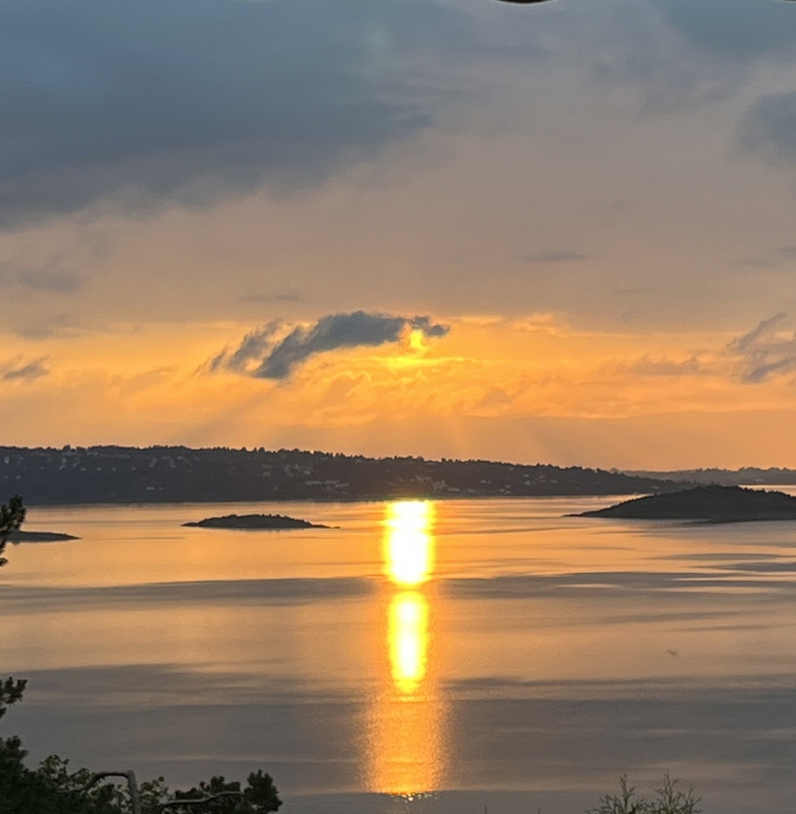 IMG_0285 Galleribilde