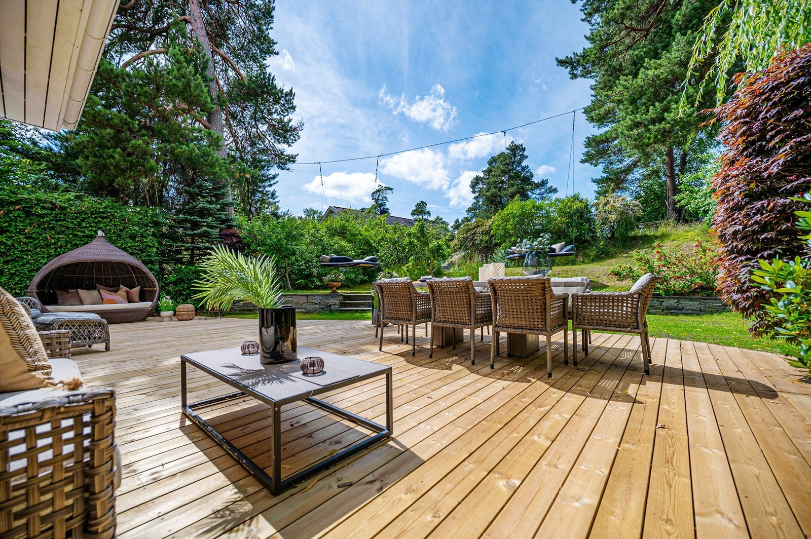 Frodig og grønt. Galleribilde