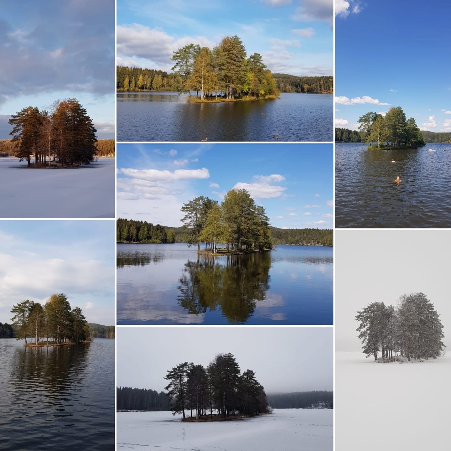 Sognsvann er et unikt sted som kan nytes hele året- her er det gode muligheter for bading, friluftsliv og en aktiv livsstil. Bare en kort spasertur hjemmefra. Galleribilde
