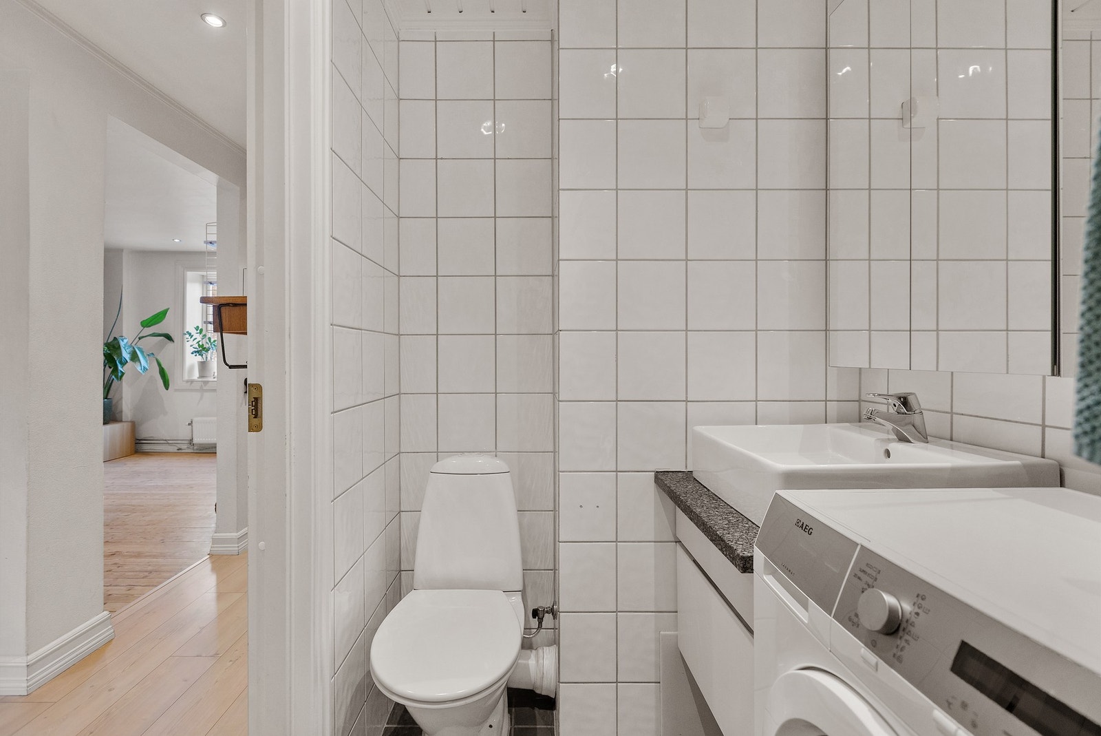 Videre er det toalett og opplegg for vaskemaskin. Galleribilde