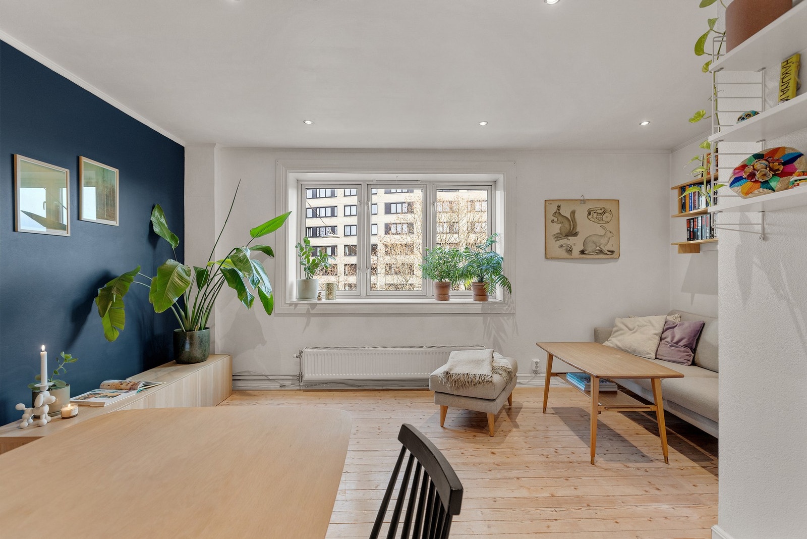 Vindusflatene slipper inn rikelig med naturlig lys. Galleribilde