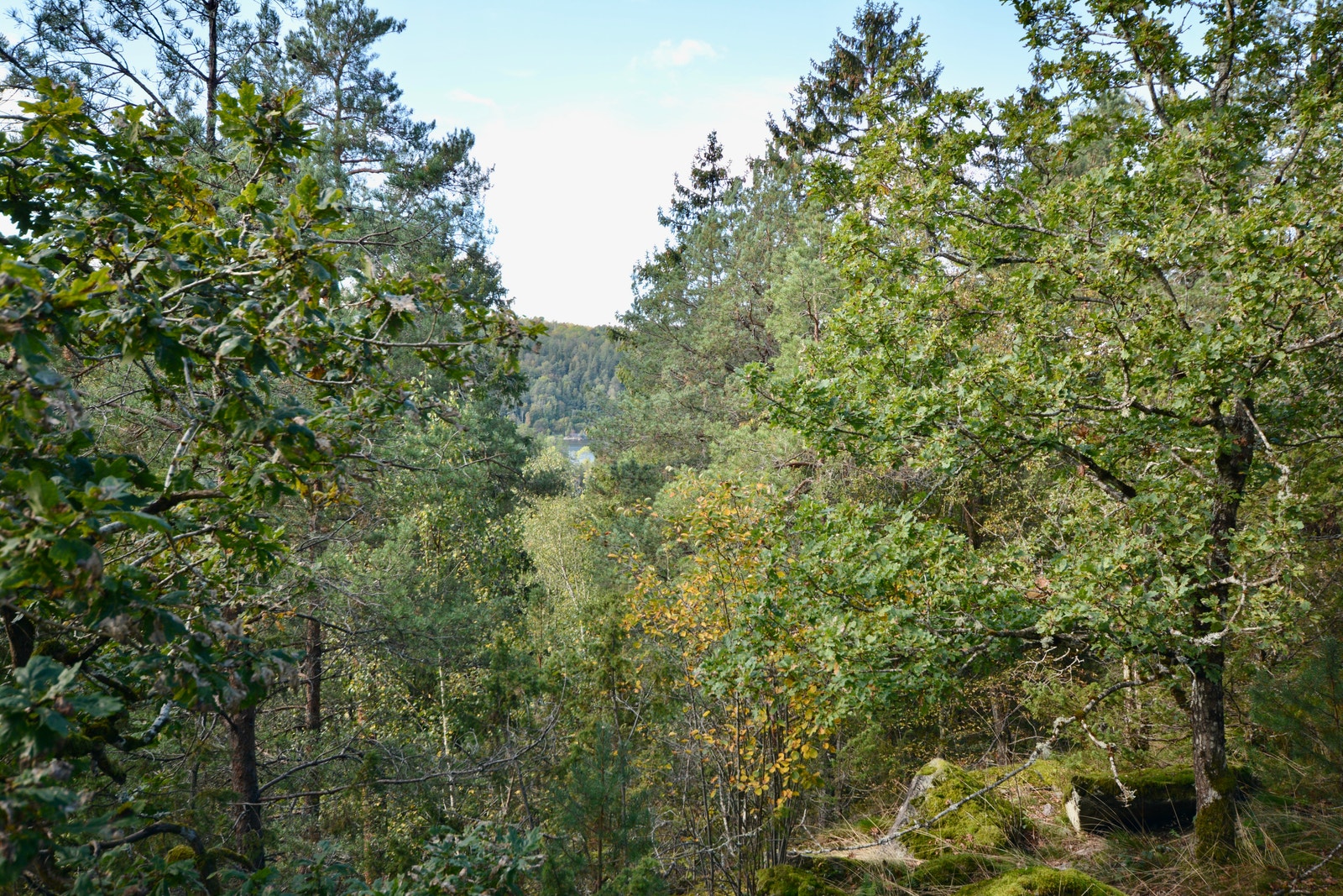 Fjordgløtt fra en av uteplassene Galleribilde