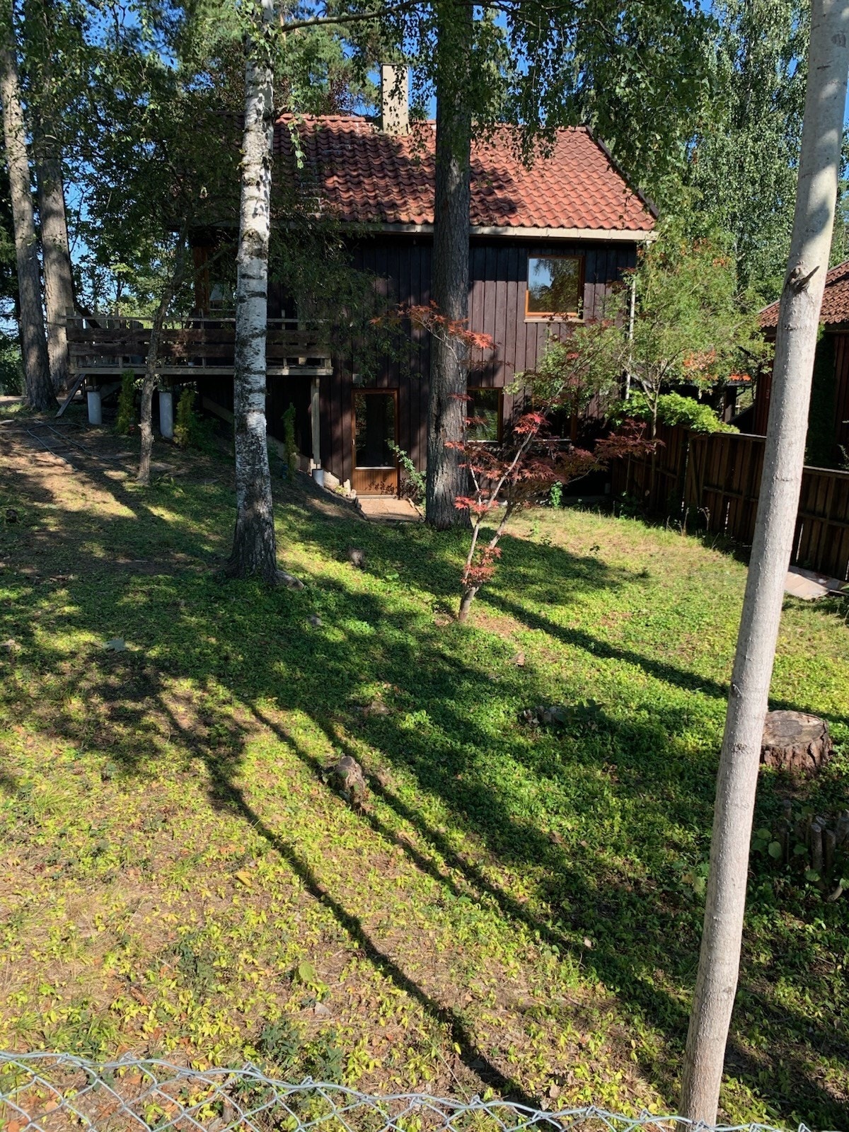 Privat bilde, sommer tid Galleribilde