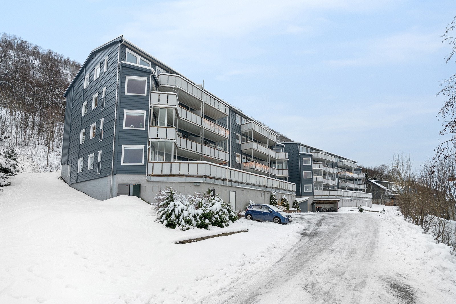 Velkommen til visning!