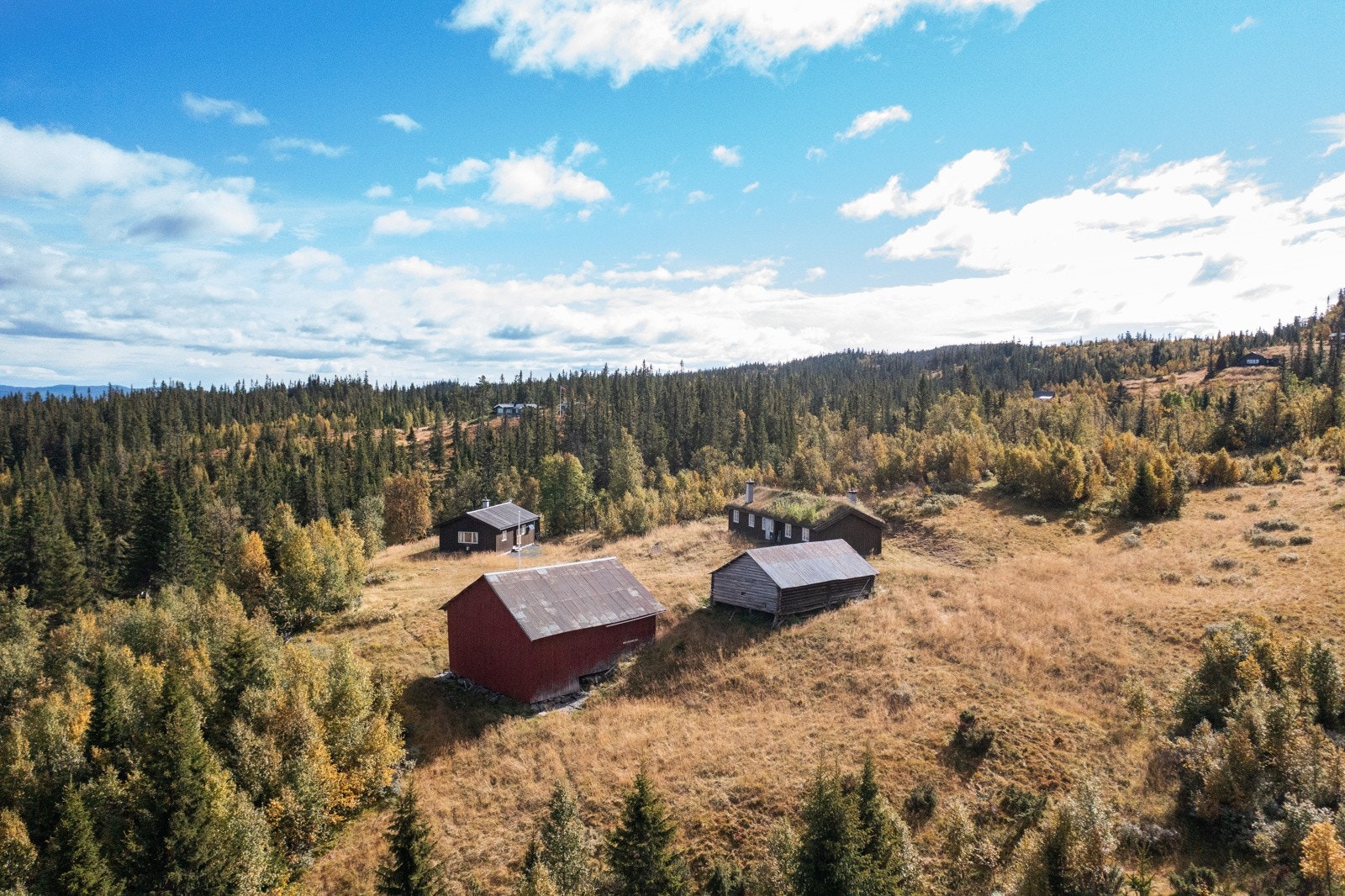 Velkommen på visning! Galleribilde