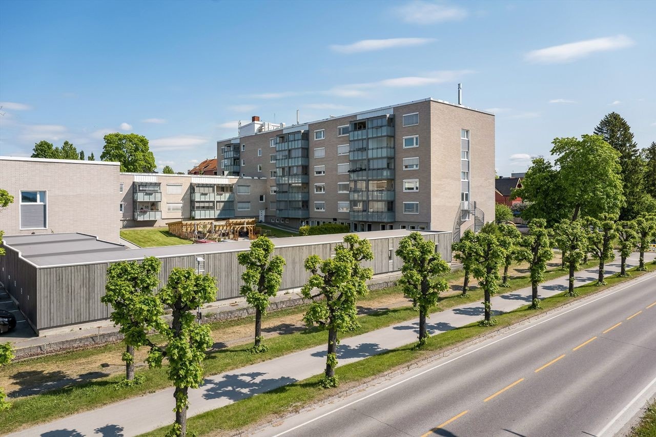 Velkommen til en hyggelig visning! Galleribilde