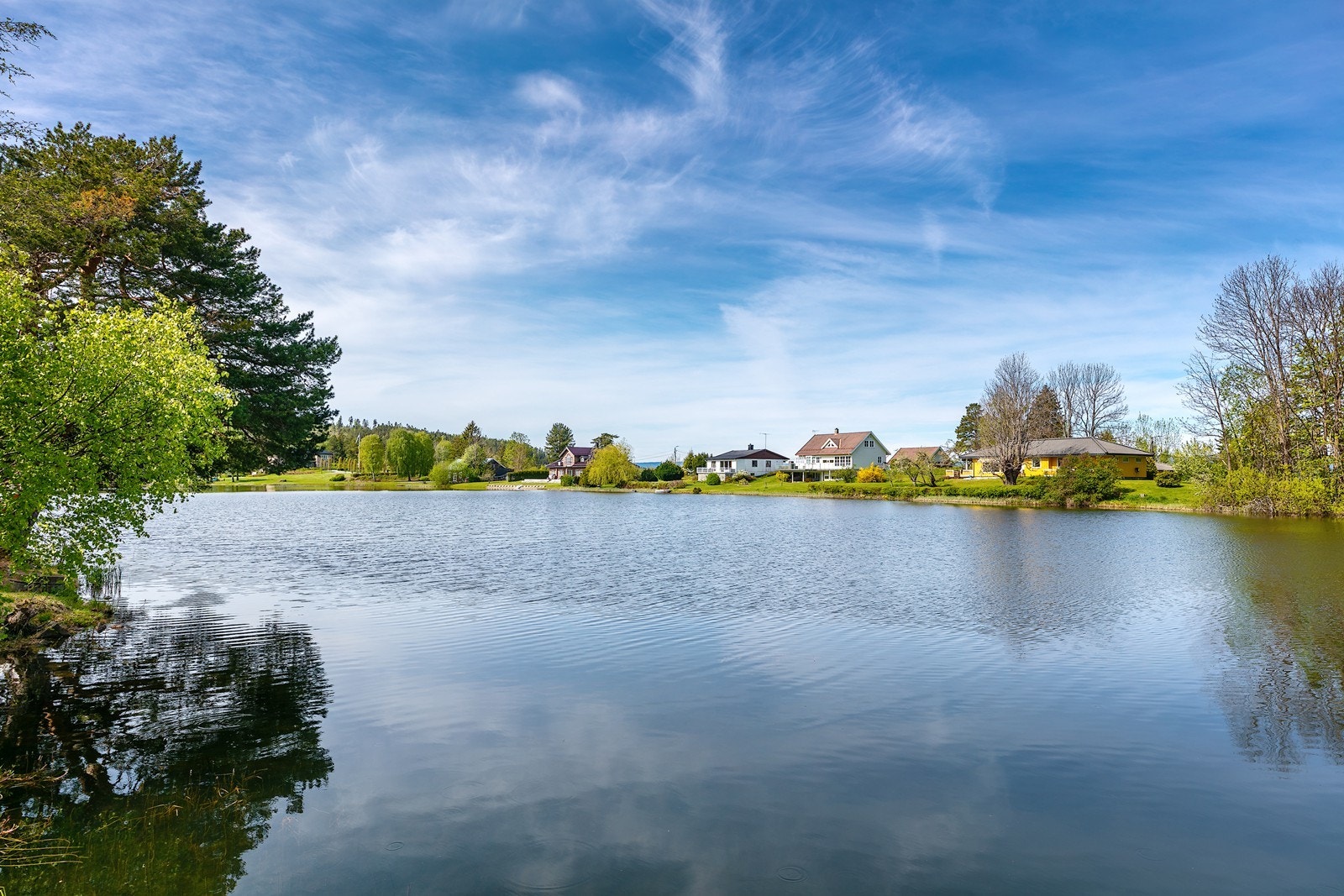 Velkommen til en hyggelig visning! Galleribilde
