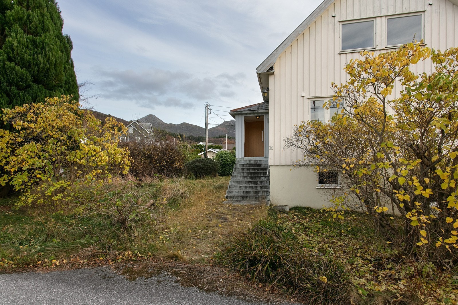 Adkomst Galleribilde