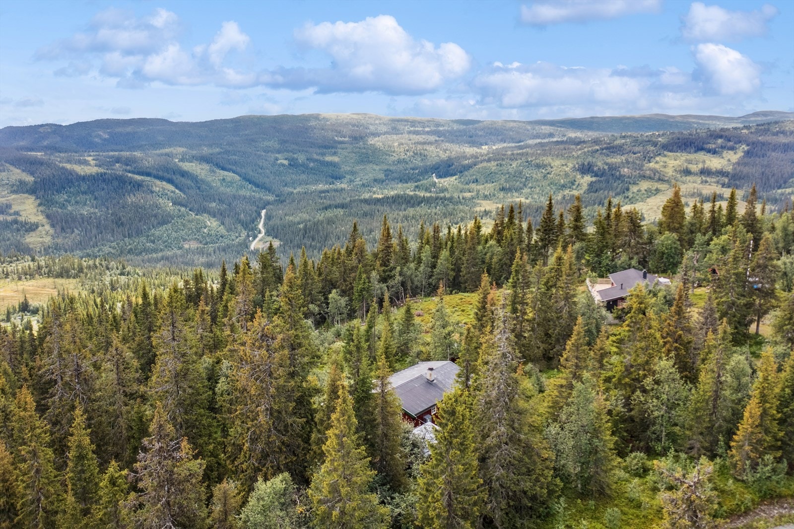 Stavedalen har gode fiskemuligheter i elver, bekker og fjellvann, og det er moltemyrer og fine områder for blåbær, tyttebær og sopp. Galleribilde