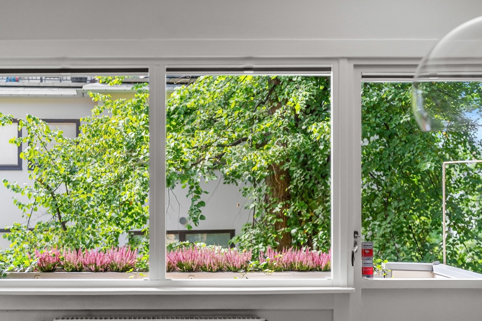 Utsyn mot grønne omgivelser Galleribilde