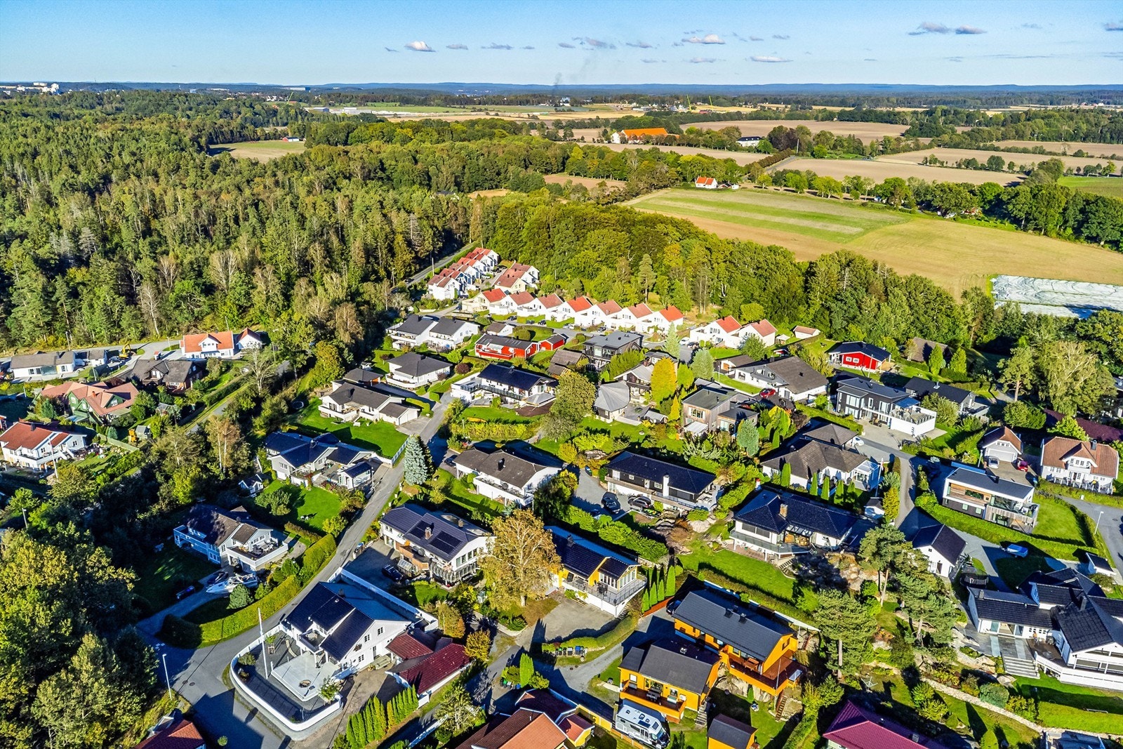 sfrt4-0805 Galleribilde