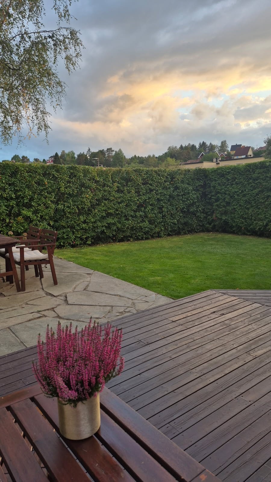 Fra vår til høst er hekken rundt tomten tett og frodig Galleribilde