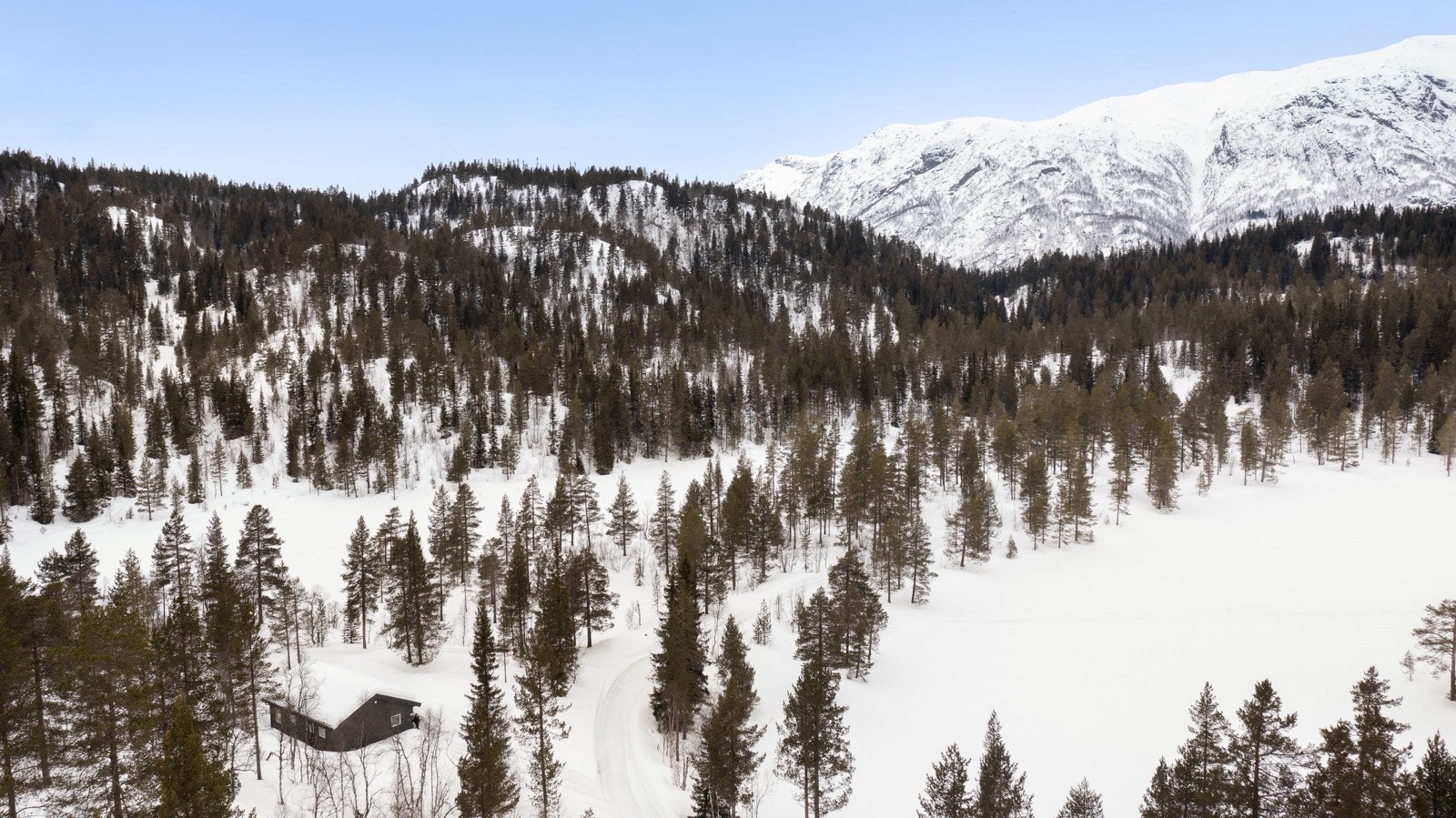 Usjenert, fredelig og tett på naturen. Hytta ligger også rett ved vannet Kringletjønn og Langetjønn. Vinterstid kan man gå på langrenn, kjøre snøscooter, dra på hundeslede-safari, gå på langrennsski eller reise i et av skianleggene for fart og spenning. Galleribilde