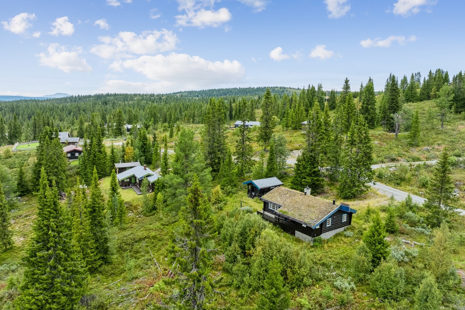 Velkommen til en hyggelig visning! Galleribilde