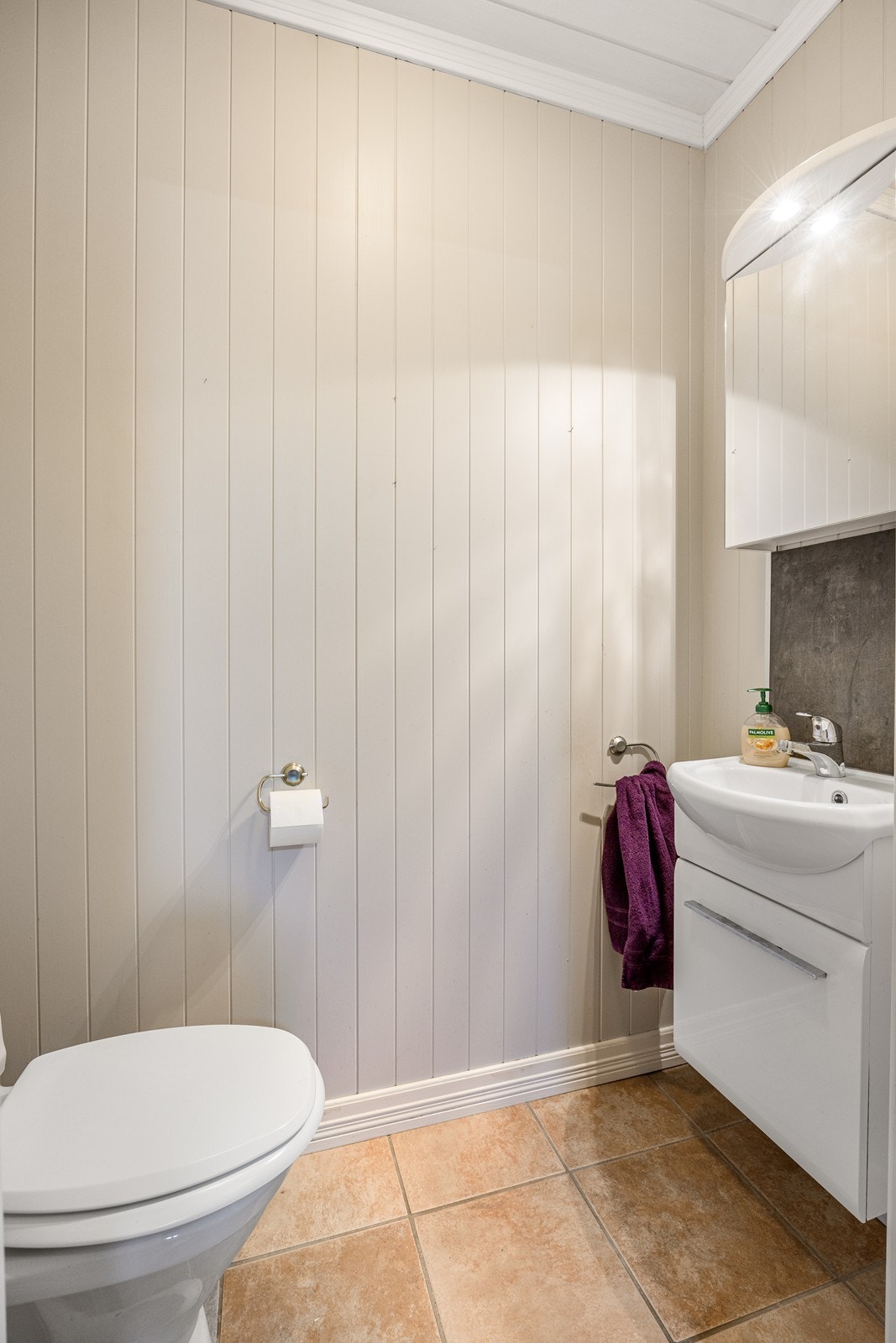 Toalettrommet har gulvstående toalett og servant med nedfelt vask. Veggene er dekket med malte plater, og taket er malt. Galleribilde