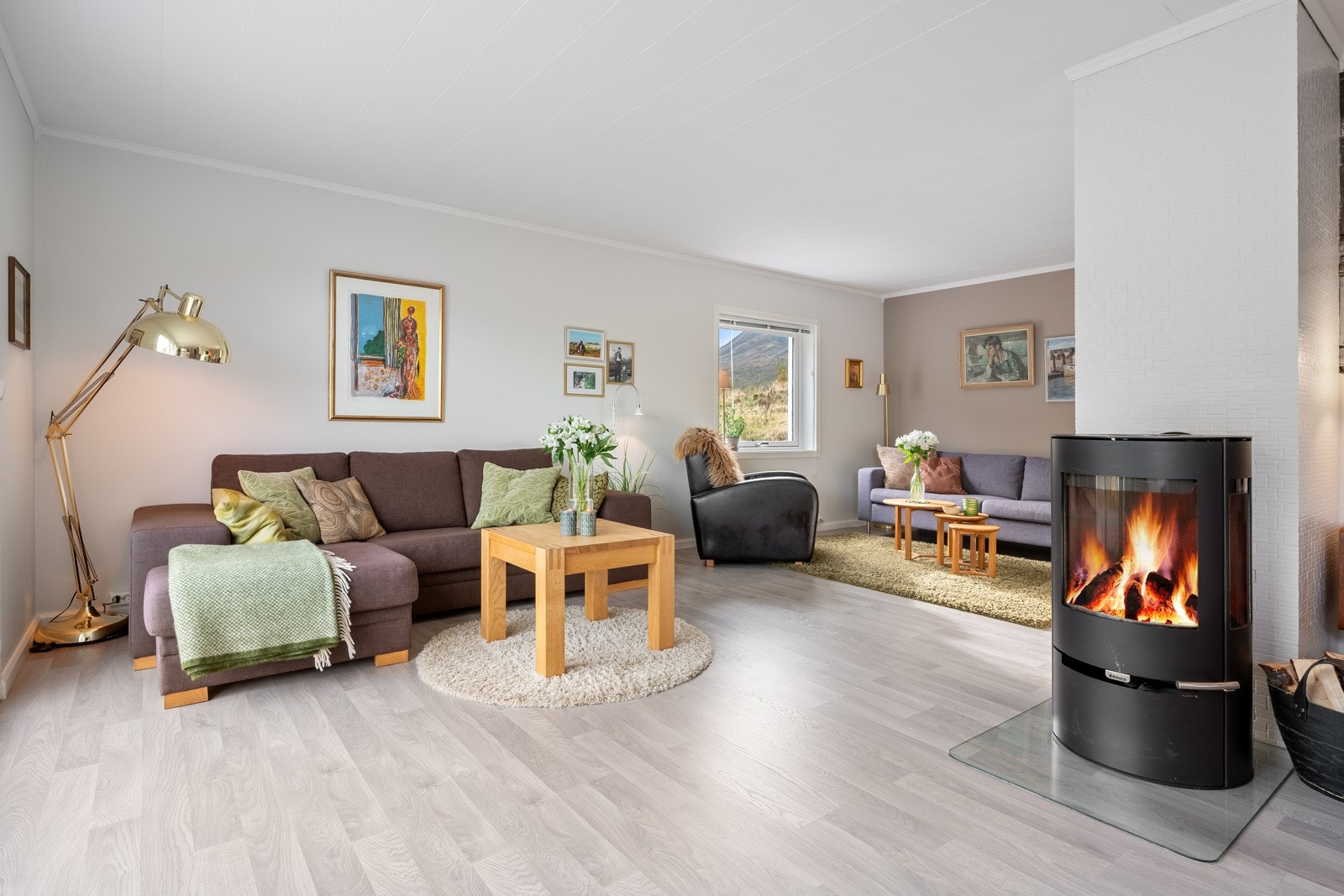 Stue med varmepumpe og vedovn som skaper en lun atmosfære Galleribilde