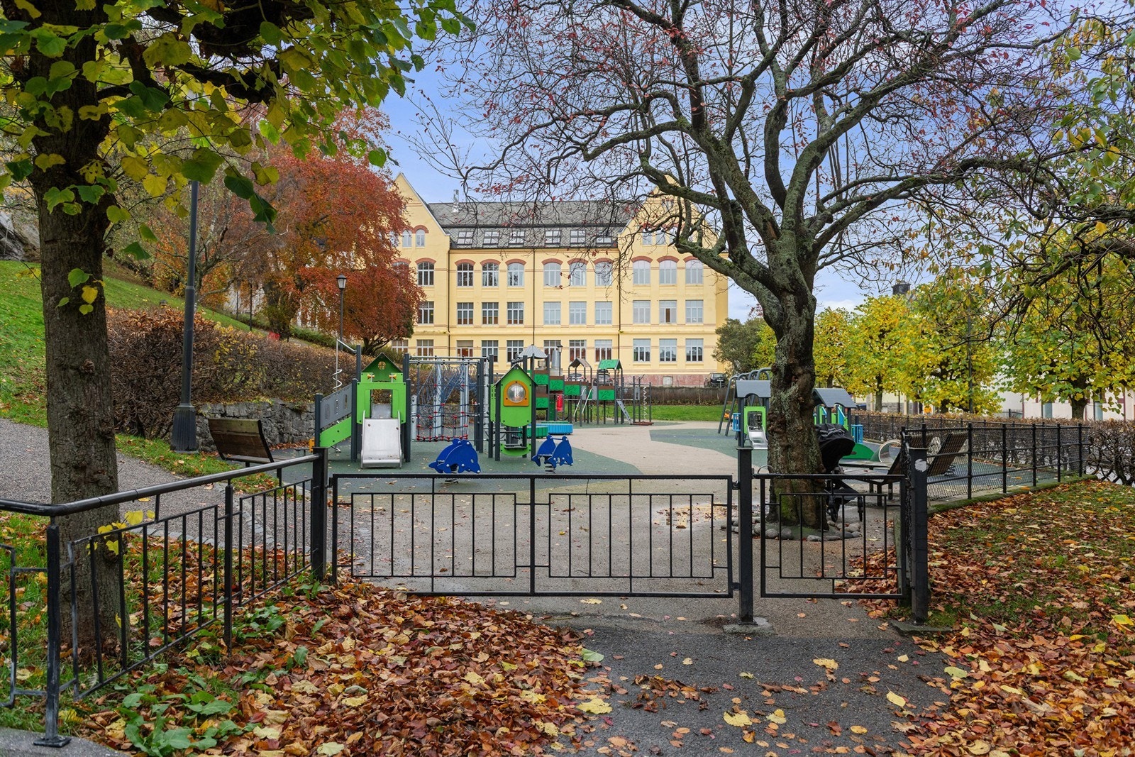 Nærområde Galleribilde