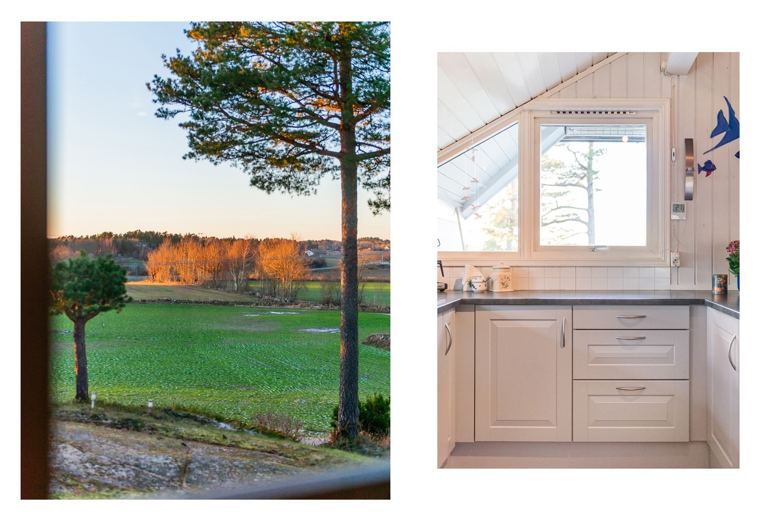 Du skal kunne lære deg og leve med dette utsynet Galleribilde