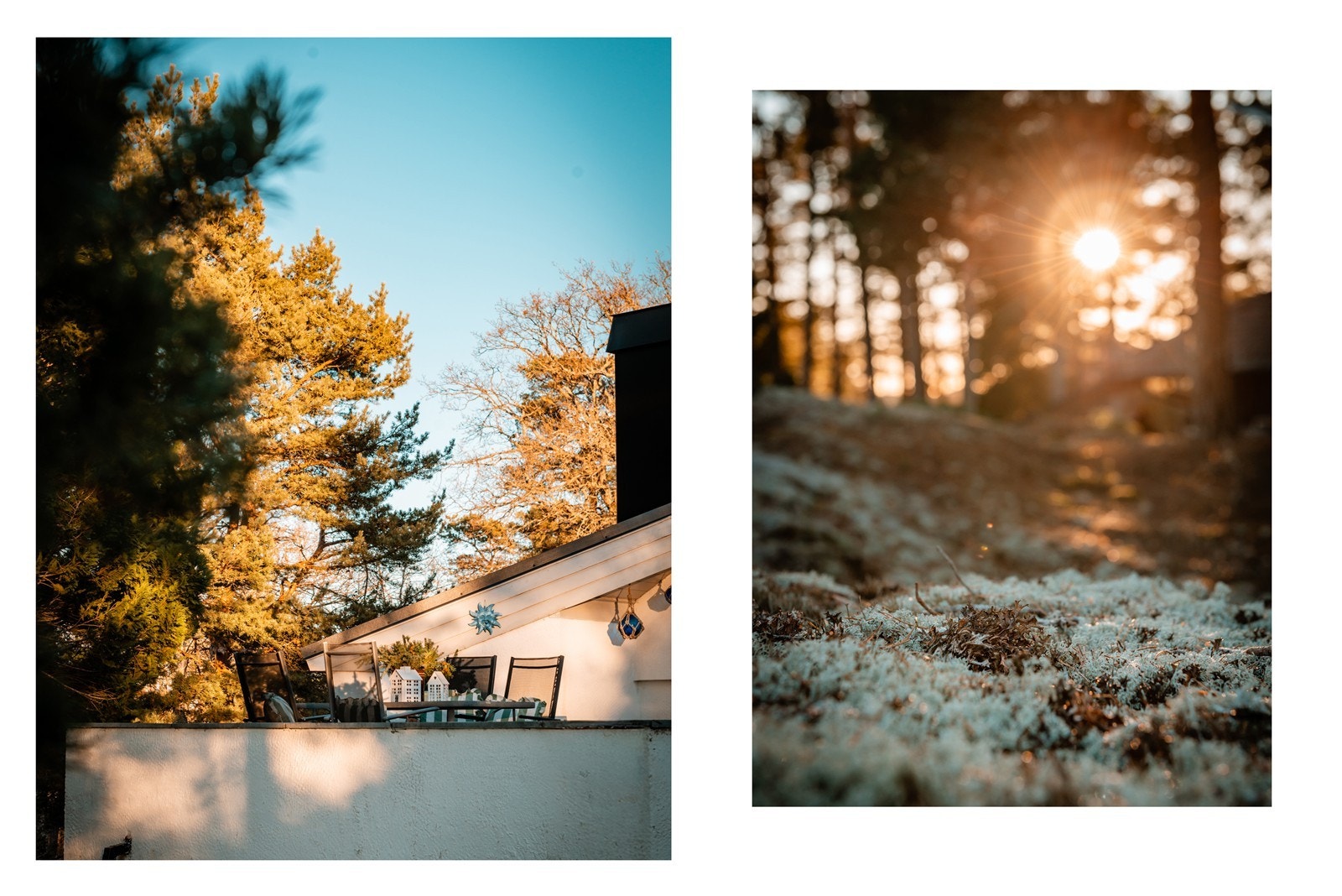 Bilde er tatt på tomten nå en høstmorgen Galleribilde