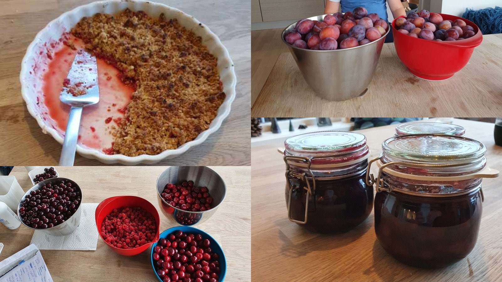 Idyllisk hage med frodig beplantning, kirsebær, villbringebær, plommer og moreller Galleribilde