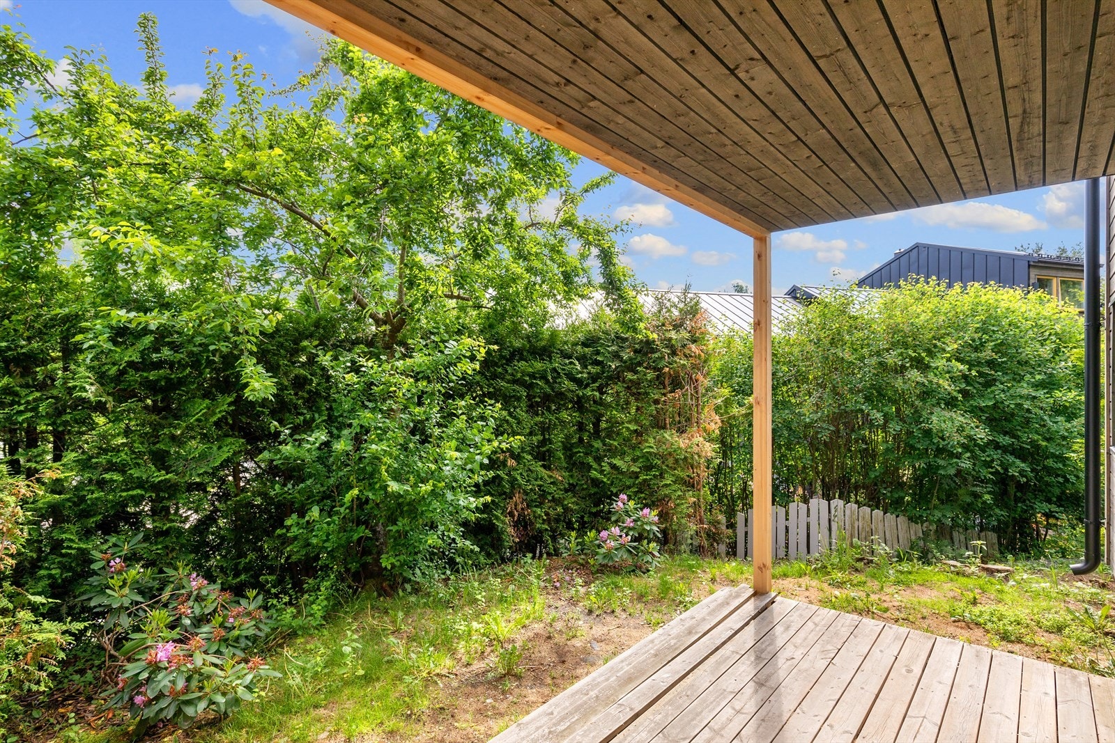 Skjermet hage med platting Galleribilde