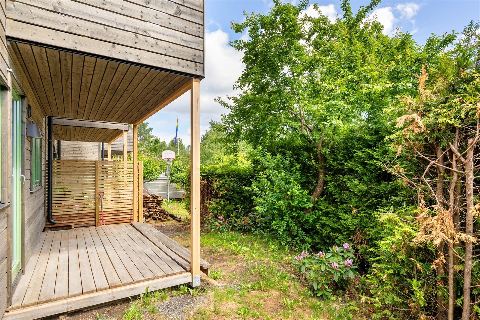 Hagen har definitivt potensiale Galleribilde