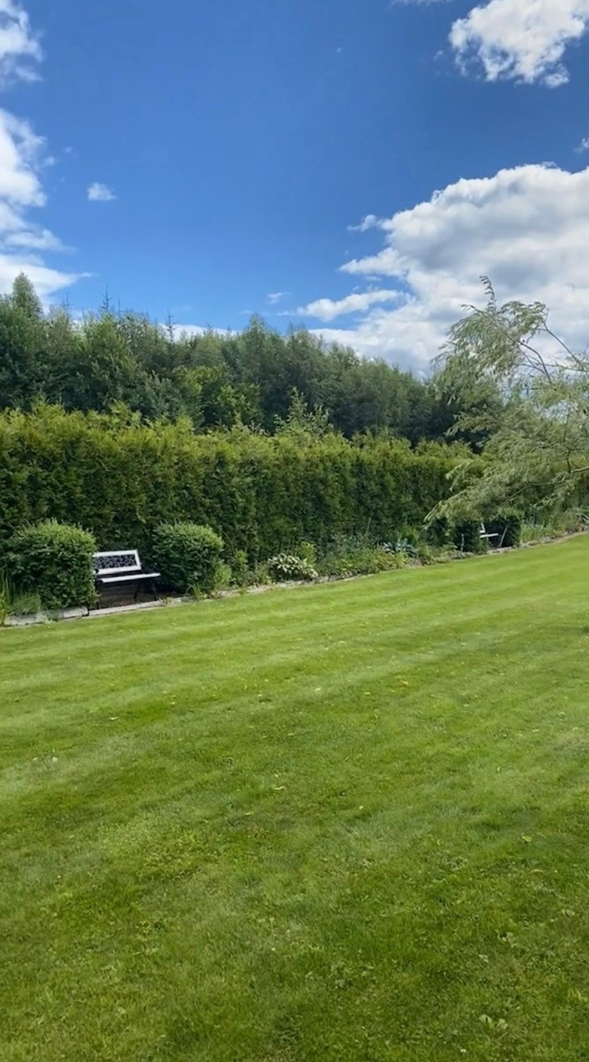 Tidligere bilder Galleribilde