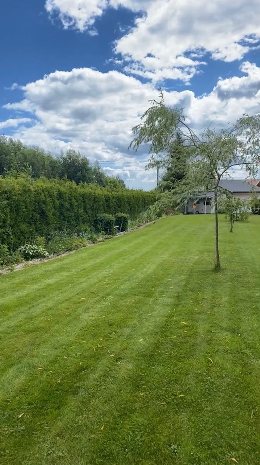 Tidligere bilder Galleribilde