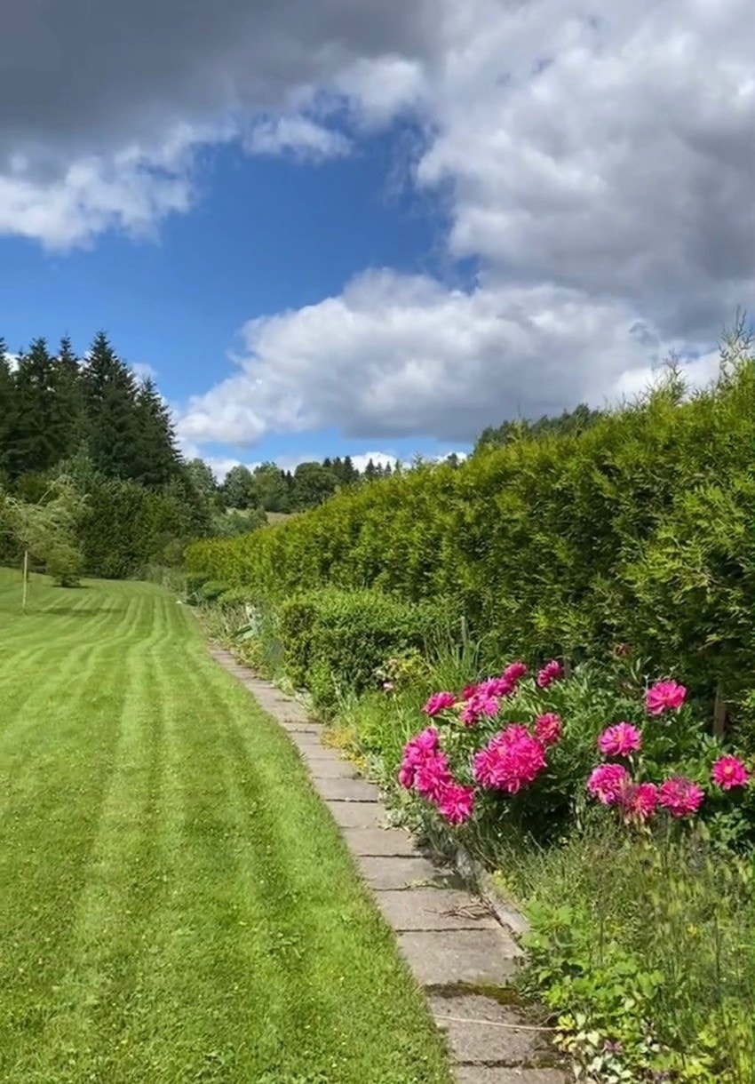 Tidligere bilder Galleribilde