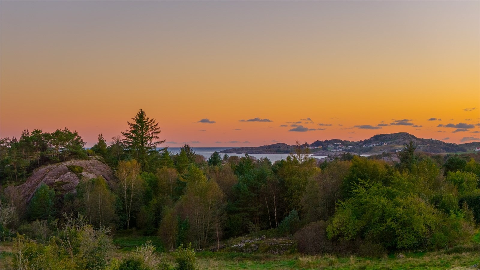 Utsikt fra stue. Galleribilde